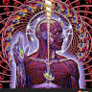 Meet your Posher, Shea